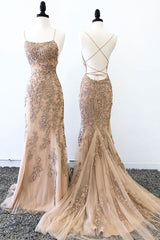 Prom Dress Ideas 2055, Champagne Mermaid Backless Lace Appliques Long Prom Dresses, Champagne Lace Formal Dresses, Champagne Graduation Evening Dresses